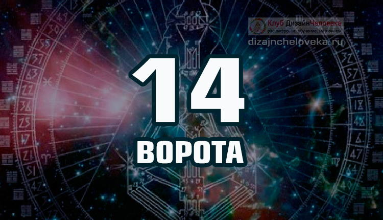 14 Ворота (Дизайн Человека) - Design Human Online