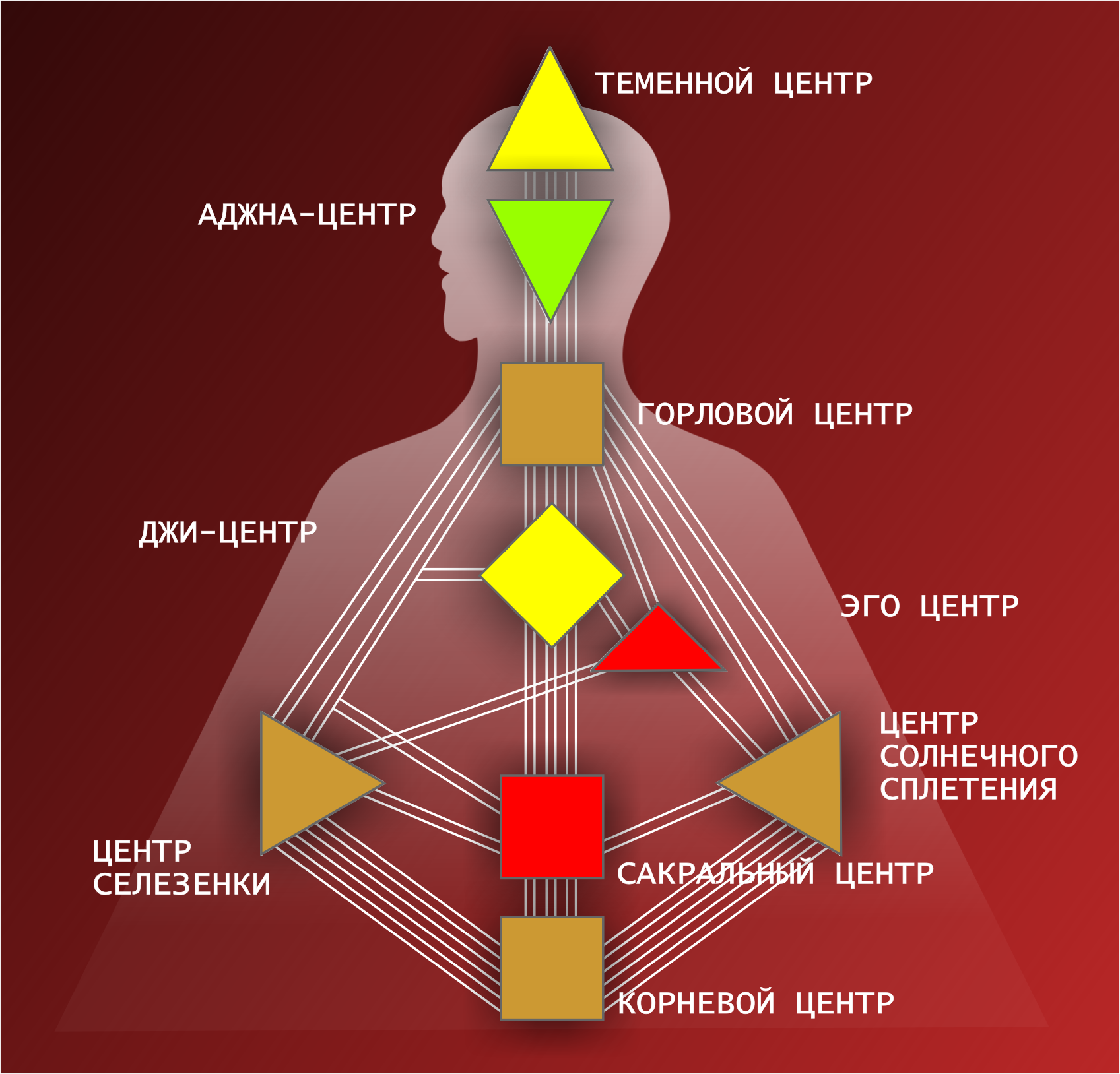 Найти эго. Аджна бодиграф. Бодиграф дизайн человека. Центры в дизайне человека. Дизайнчеловека цекнтры.