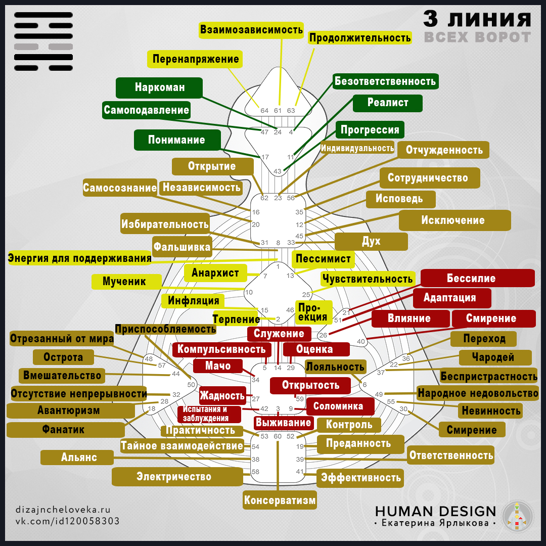 Дизайн человека рисунок